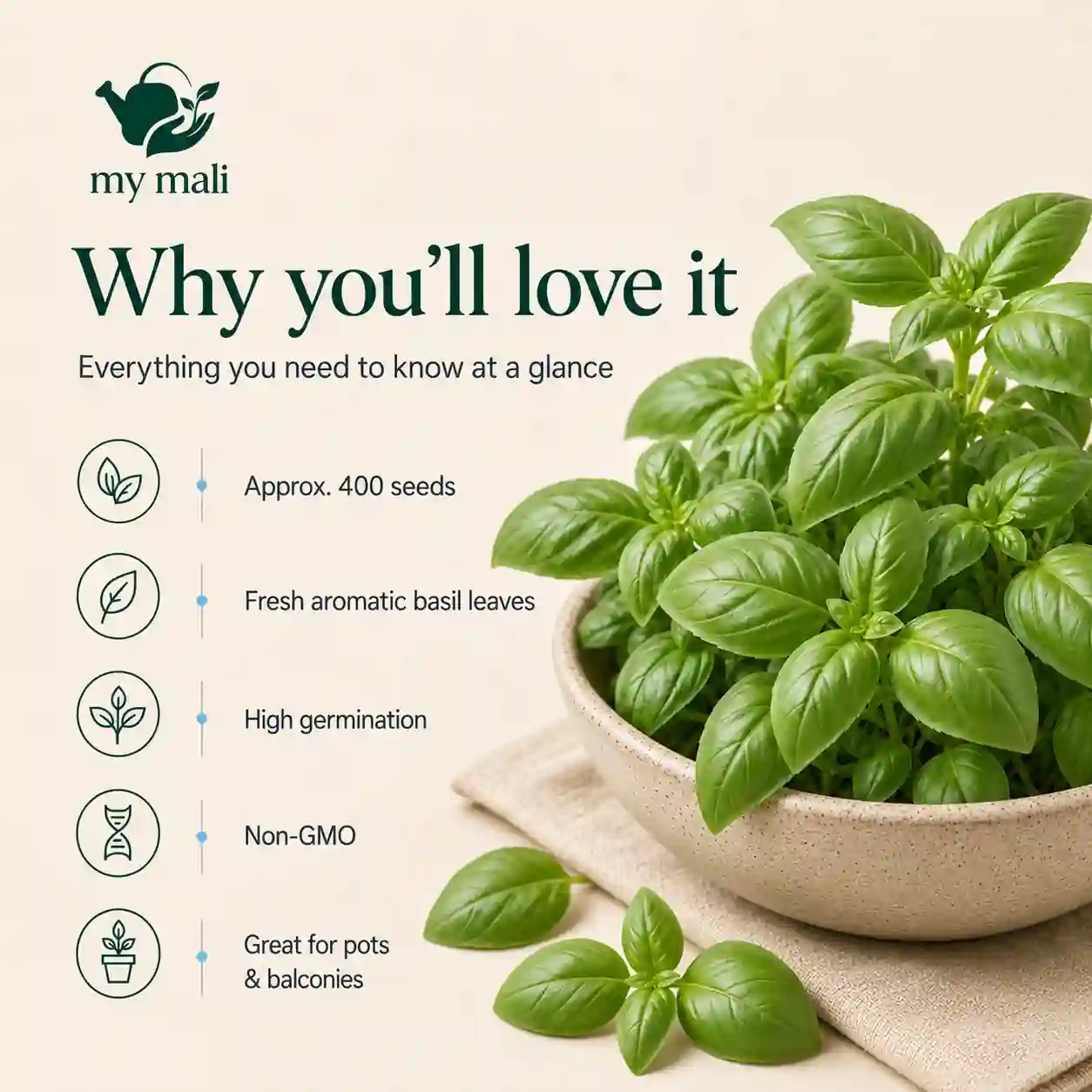 Italian Sweet Basil Seeds — image 4 of 5 (thumbnail)