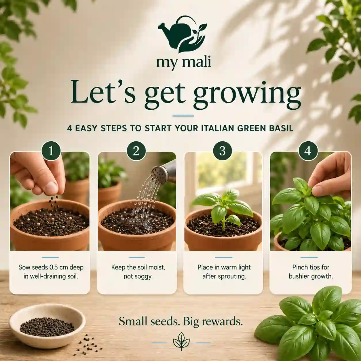 Italian Sweet Basil Seeds — image 3 of 5 (thumbnail)